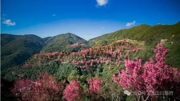 Dali Nanjian