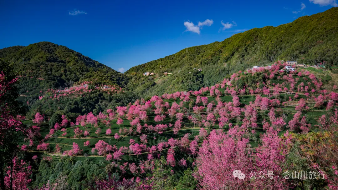 《天龙八部》中神仙姐姐的故里，无量山的神秘，樱花谷的浪漫，高山草甸秘境，跳菜之乡……这样的大理南涧你都见过吗？ - 第24张