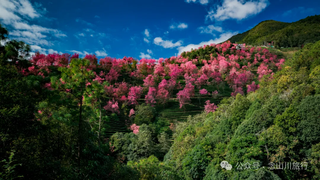 《天龙八部》中神仙姐姐的故里，无量山的神秘，樱花谷的浪漫，高山草甸秘境，跳菜之乡……这样的大理南涧你都见过吗？ - 第25张
