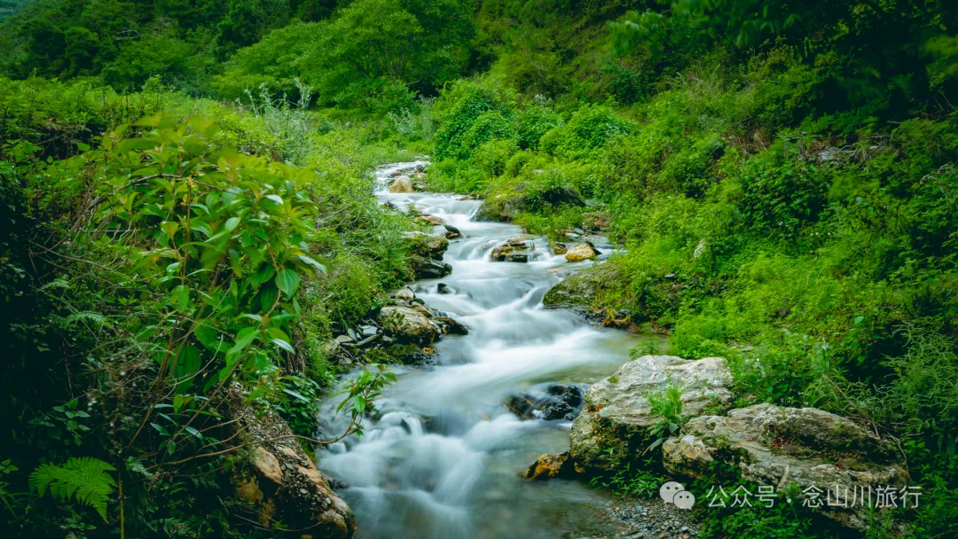 《天龙八部》中神仙姐姐的故里，无量山的神秘，樱花谷的浪漫，高山草甸秘境，跳菜之乡……这样的大理南涧你都见过吗？ - 第30张