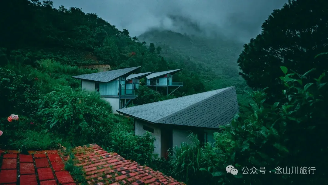 《天龙八部》中神仙姐姐的故里，无量山的神秘，樱花谷的浪漫，高山草甸秘境，跳菜之乡……这样的大理南涧你都见过吗？ - 第40张