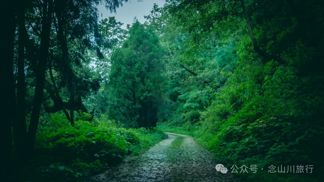 探索巍山古城20公里外的鸟道雄关:世界上最古老的“鸟道”带你穿越绿野仙踪的奇幻世界,只此青绿,满屏治愈 - 第1张