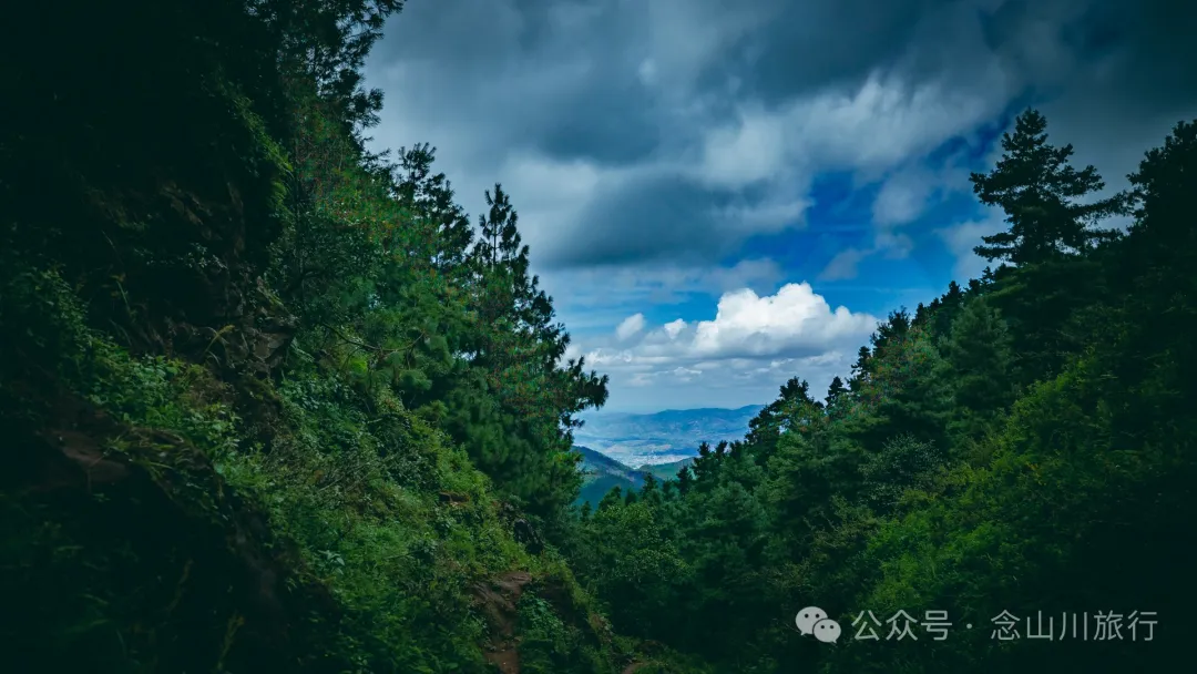 探索巍山古城20公里外的鸟道雄关:世界上最古老的“鸟道”带你穿越绿野仙踪的奇幻世界,只此青绿,满屏治愈 - 第11张