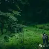 探索巍山古城20公里外的鸟道雄关：世界上最古老的“鸟道”带你穿越绿野仙踪的奇幻世界，只此青绿，满屏治愈