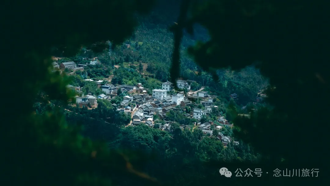 探索巍山古城20公里外的鸟道雄关:世界上最古老的“鸟道”带你穿越绿野仙踪的奇幻世界,只此青绿,满屏治愈 - 第24张