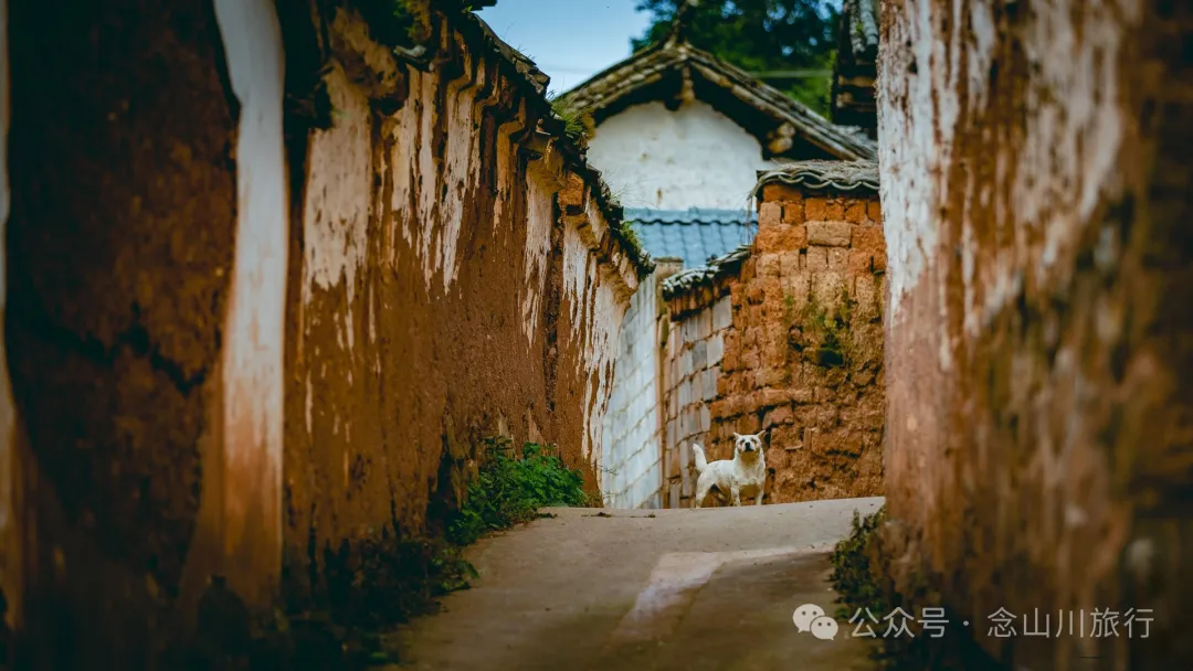 大理弥渡石佛哨村：寻访徐霞客足迹，重返茶马古道的崇山峻岭 - 第15张