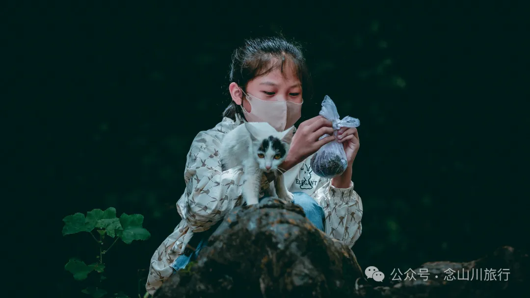 夏日火山村摘梅记|大理巍山马鞍山乡小暑日农忙实录 - 第19张