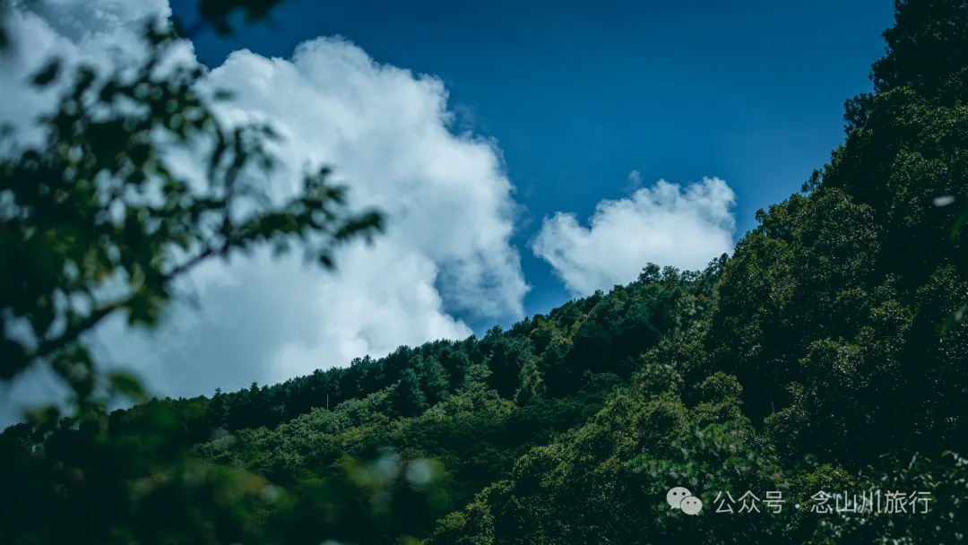 夏日火山村摘梅记|大理巍山马鞍山乡小暑日农忙实录 - 第24张