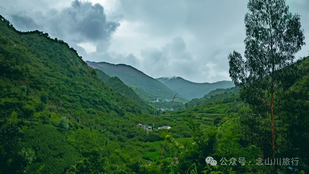 大理巍山巍宝山后的梯子坡村:雨后空气中飘荡着甘甜气息的彝族村庄 - 第1张