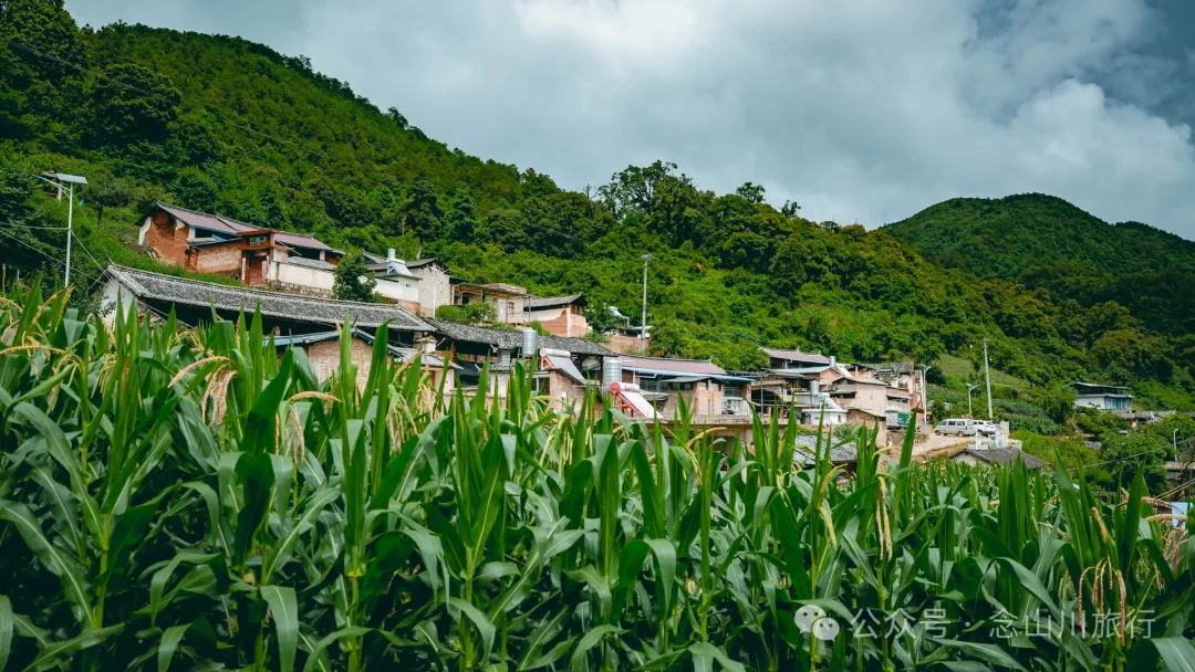 大理巍山巍宝山后的梯子坡村：雨后空气中飘荡着甘甜气息的彝族村庄 - 第11张