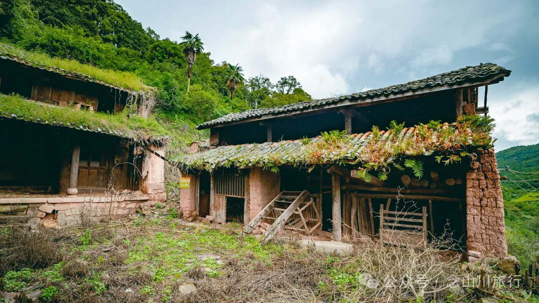 大理巍山巍宝山后的梯子坡村:雨后空气中飘荡着甘甜气息的彝族村庄 - 第12张