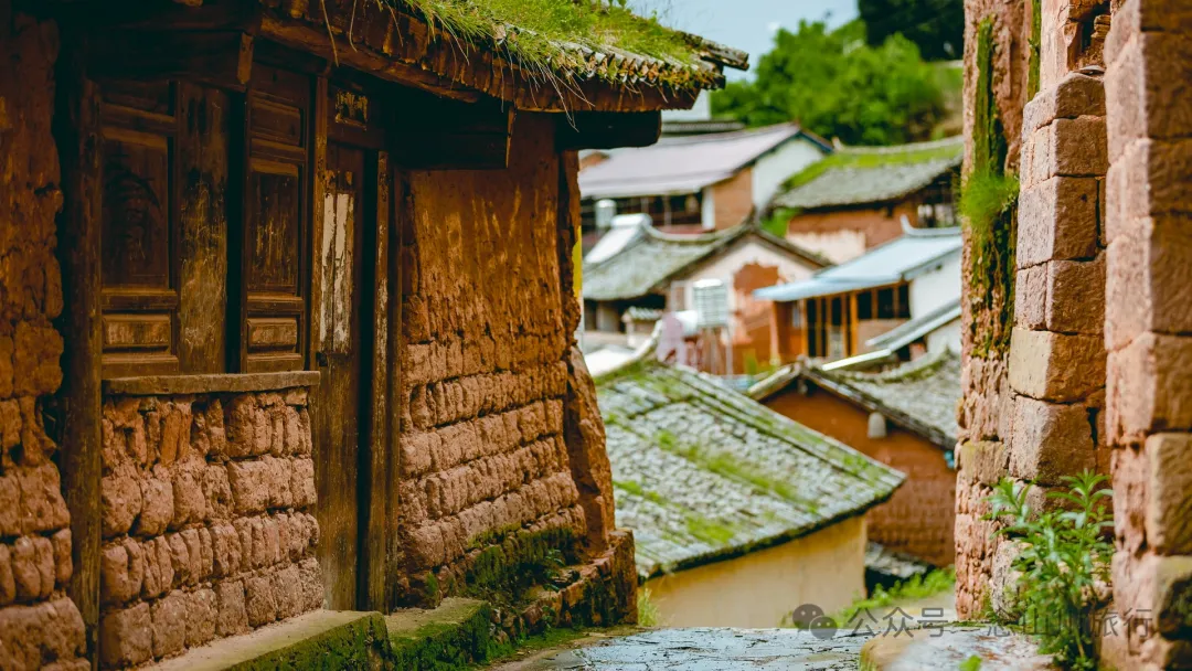 大理巍山巍宝山后的梯子坡村:雨后空气中飘荡着甘甜气息的彝族村庄 - 第16张