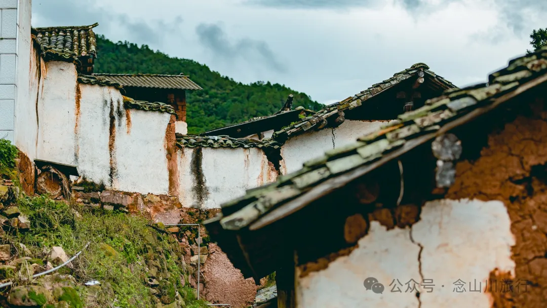 大理巍山巍宝山后的梯子坡村:雨后空气中飘荡着甘甜气息的彝族村庄 - 第20张