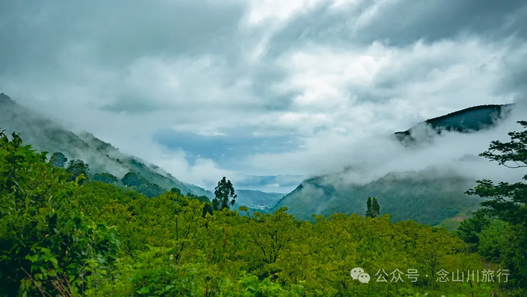 大理巍山巍宝山后的梯子坡村:雨后空气中飘荡着甘甜气息的彝族村庄 - 第46张