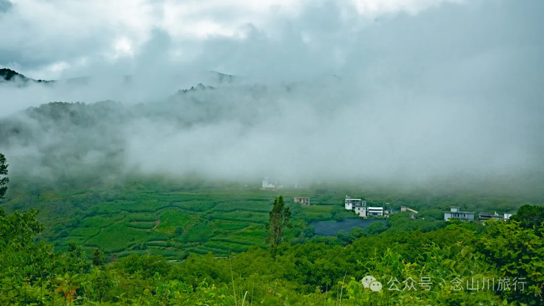 大理巍山巍宝山后的梯子坡村:雨后空气中飘荡着甘甜气息的彝族村庄 - 第47张