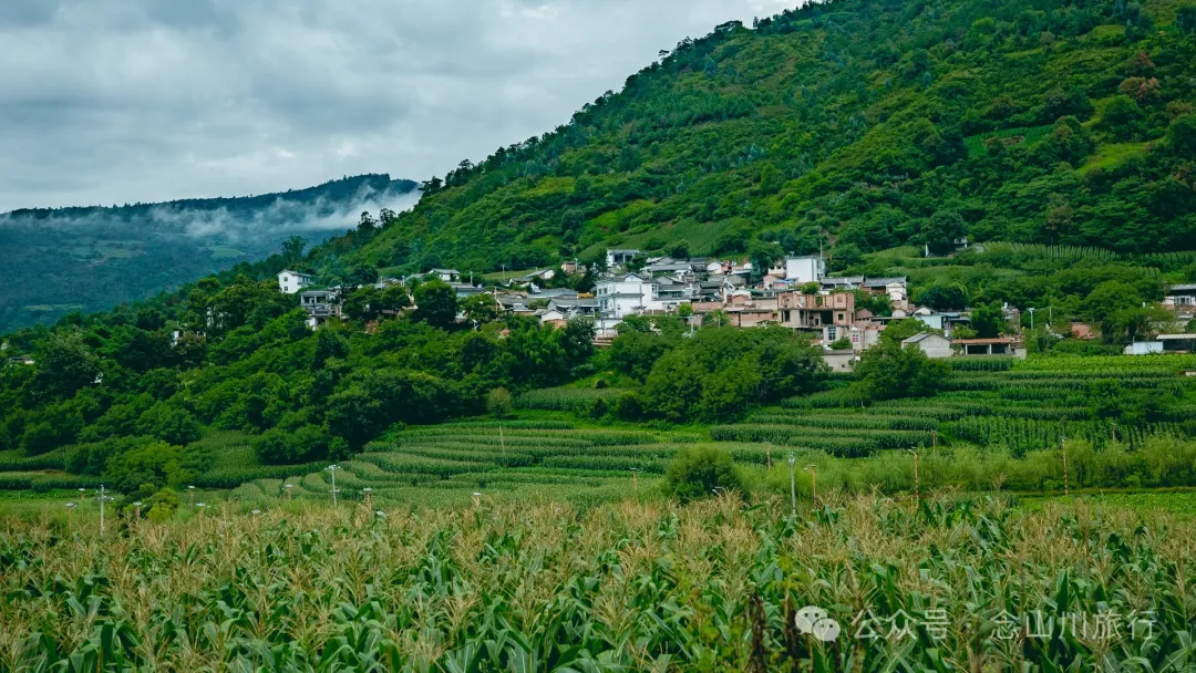 大理巍山巍宝山后的梯子坡村：雨后空气中飘荡着甘甜气息的彝族村庄 - 第51张