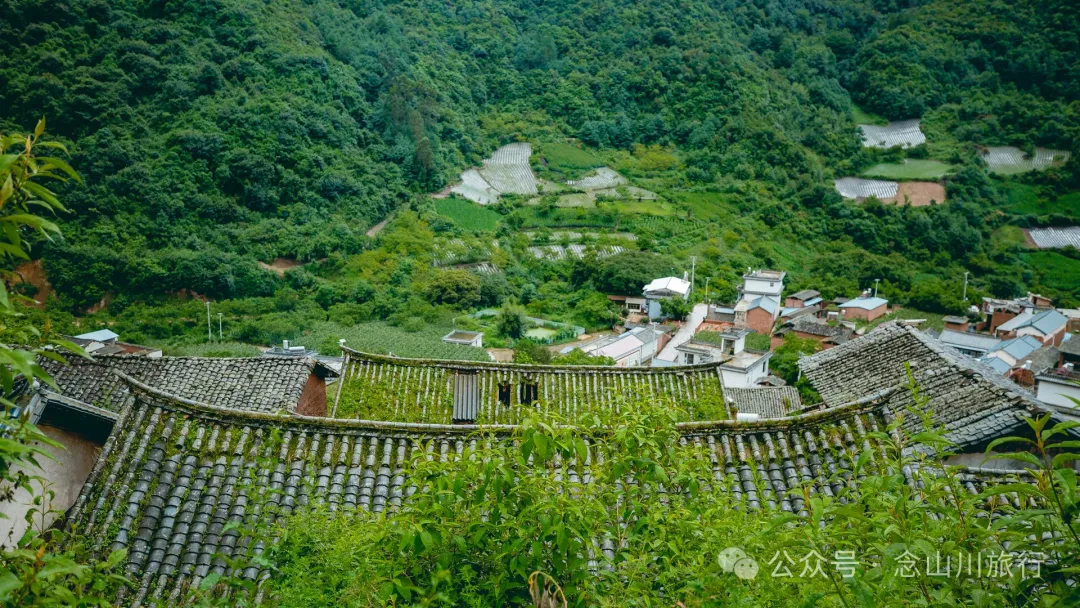 大理巍山巍宝山后的梯子坡村:雨后空气中飘荡着甘甜气息的彝族村庄 - 第6张