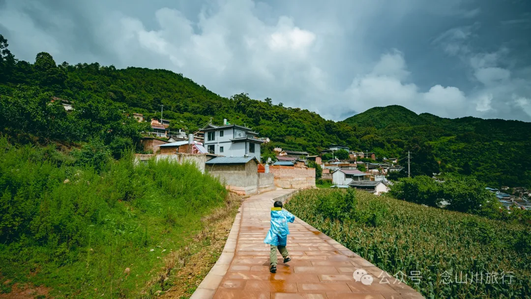 大理巍山巍宝山后的梯子坡村：雨后空气中飘荡着甘甜气息的彝族村庄 - 第7张