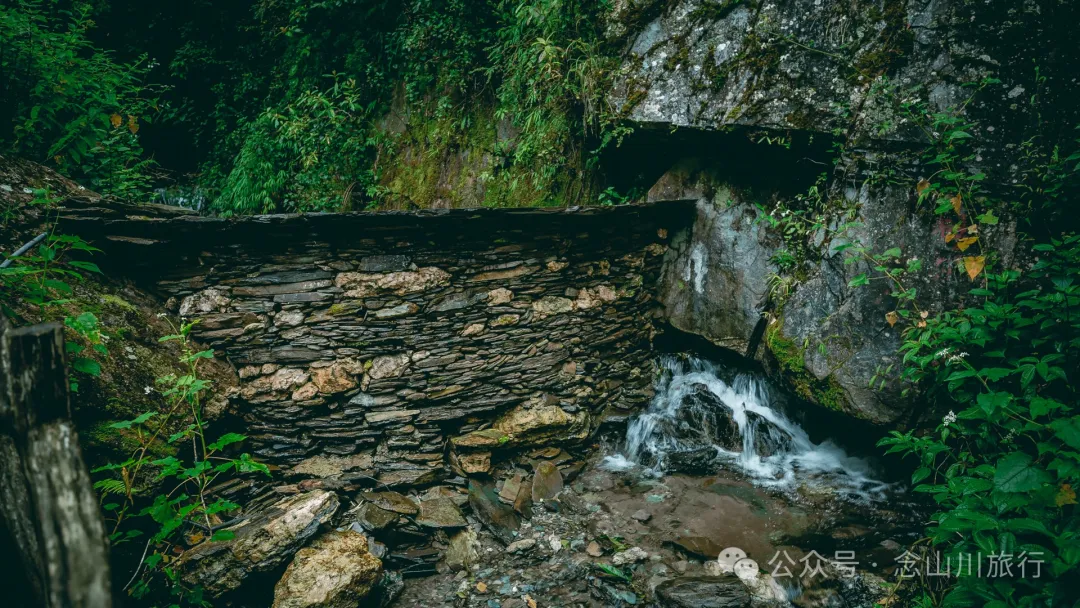 大理南涧无量山:览无量山景,制无量山茶,访无量古树,观无量飞鸟 - 第1张
