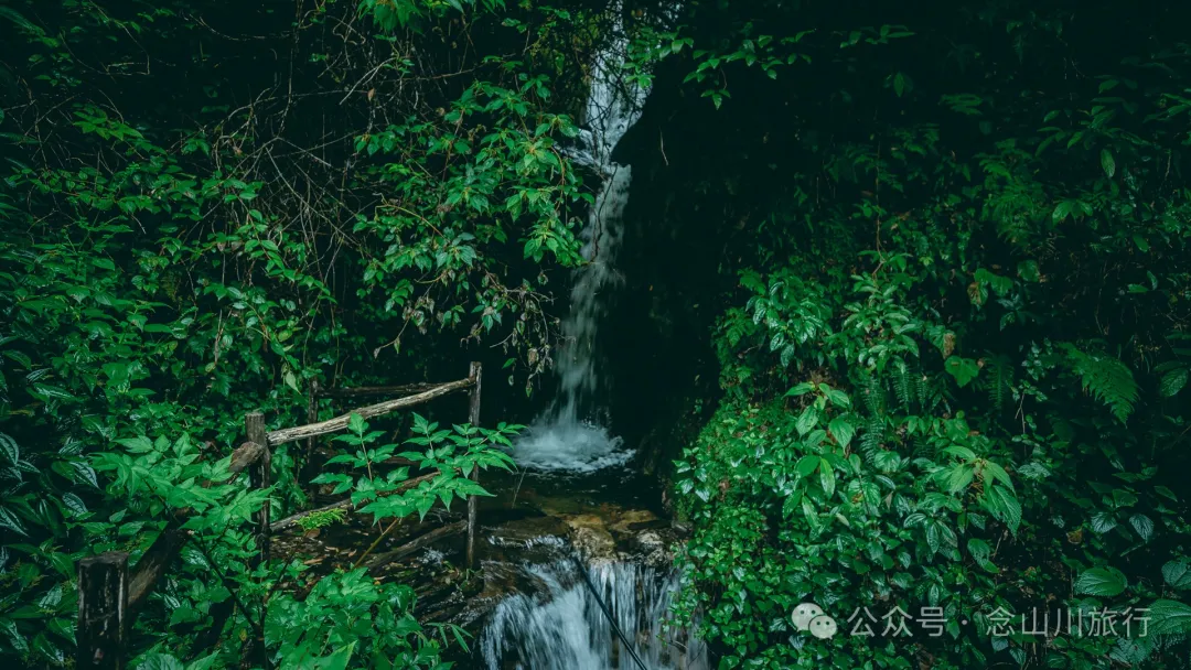 大理南涧无量山:览无量山景,制无量山茶,访无量古树,观无量飞鸟 - 第2张