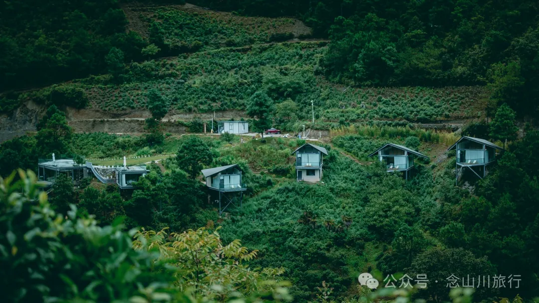 大理南涧无量山:览无量山景,制无量山茶,访无量古树,观无量飞鸟 - 第5张