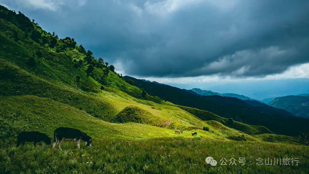 大理南涧无量太平山高山草甸：春天不肯离开，秋天不忍到来的地方 - 第1张