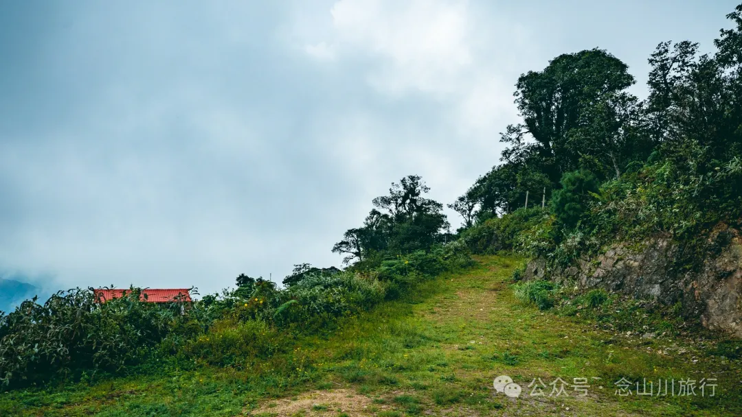 大理南涧无量太平山高山草甸：春天不肯离开，秋天不忍到来的地方 - 第13张
