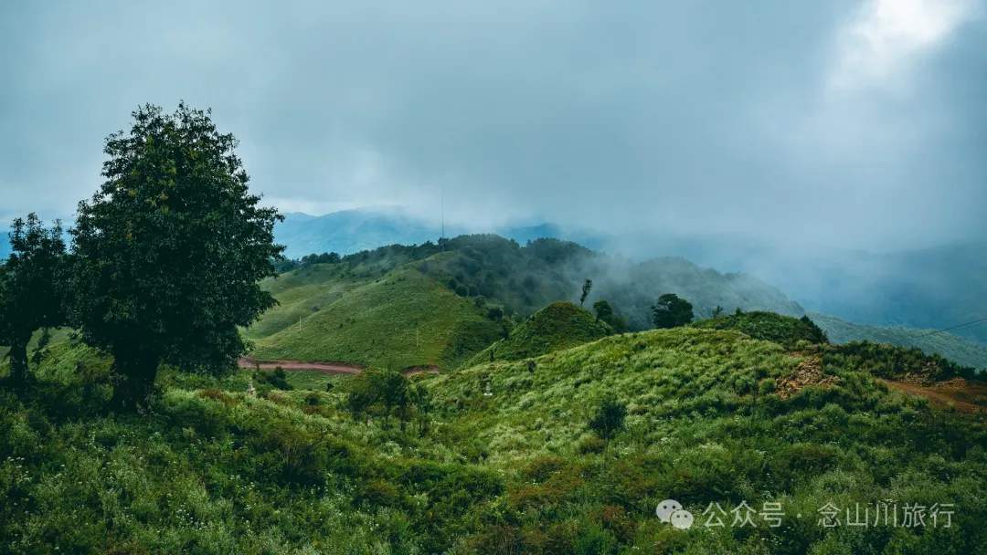 大理南涧无量太平山高山草甸：春天不肯离开，秋天不忍到来的地方 - 第16张