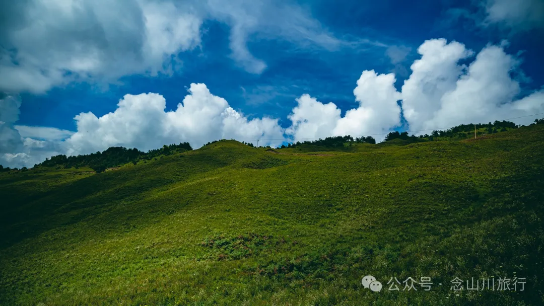 大理南涧无量太平山高山草甸：春天不肯离开，秋天不忍到来的地方 - 第18张
