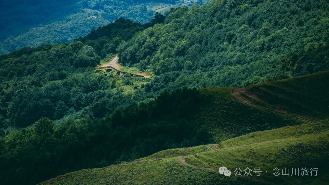 大理南涧无量太平山高山草甸：春天不肯离开，秋天不忍到来的地方 - 第20张