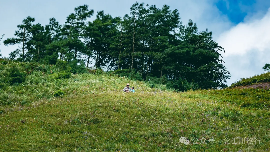 大理南涧无量太平山高山草甸：春天不肯离开，秋天不忍到来的地方 - 第21张