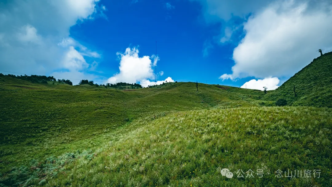 大理南涧无量太平山高山草甸：春天不肯离开，秋天不忍到来的地方 - 第23张