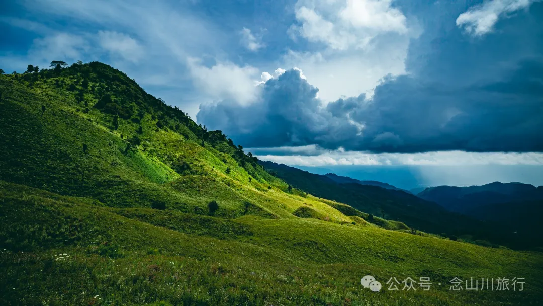 大理南涧无量太平山高山草甸：春天不肯离开，秋天不忍到来的地方 - 第24张
