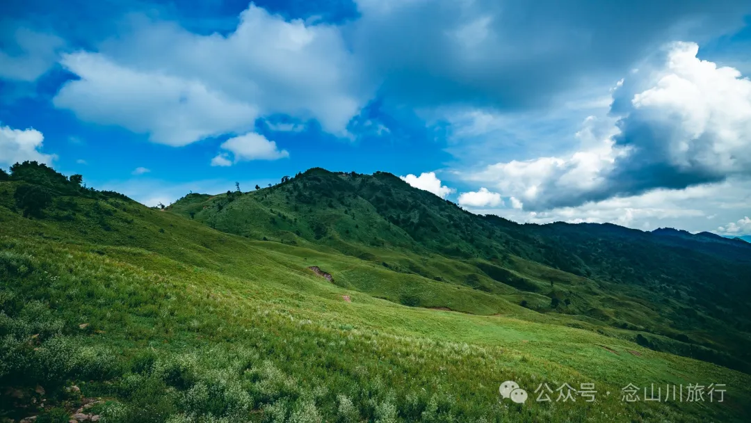 大理南涧无量太平山高山草甸：春天不肯离开，秋天不忍到来的地方 - 第25张