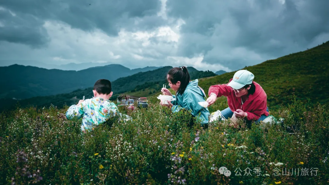 大理南涧无量太平山高山草甸：春天不肯离开，秋天不忍到来的地方 - 第32张