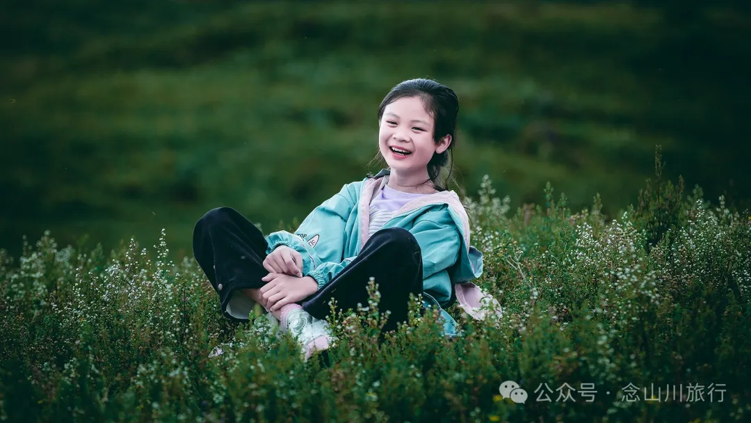 大理南涧无量太平山高山草甸：春天不肯离开，秋天不忍到来的地方 - 第36张