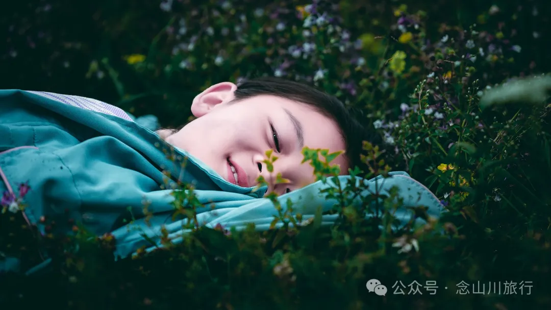 大理南涧无量太平山高山草甸：春天不肯离开，秋天不忍到来的地方 - 第37张