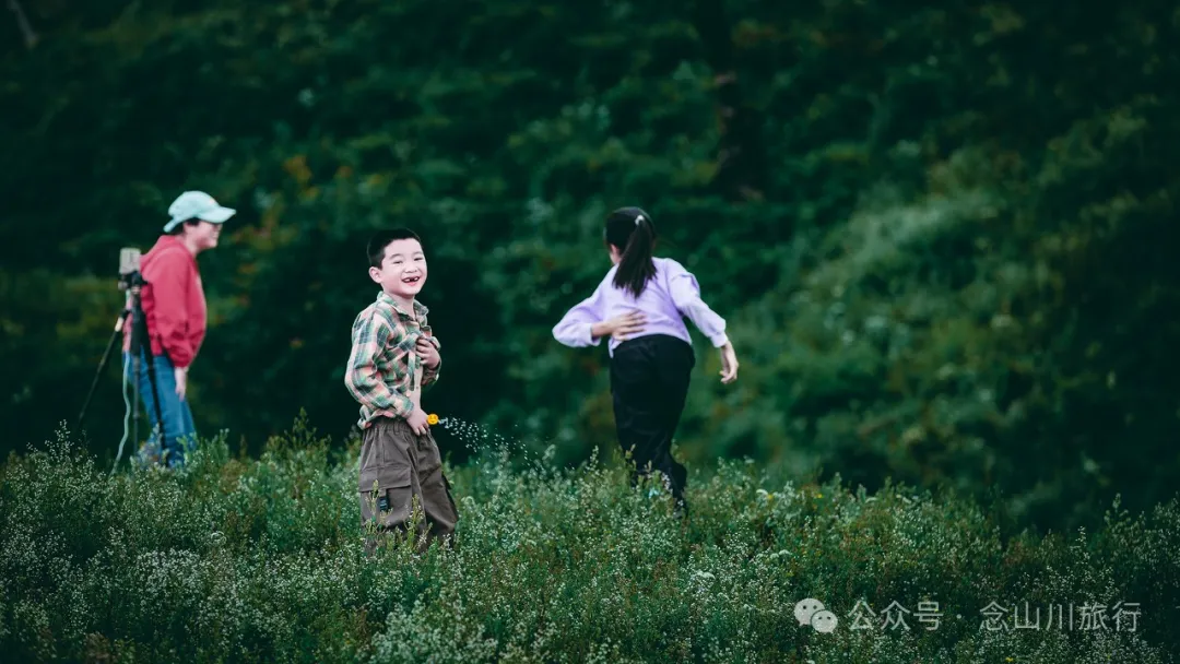 大理南涧无量太平山高山草甸：春天不肯离开，秋天不忍到来的地方 - 第33张