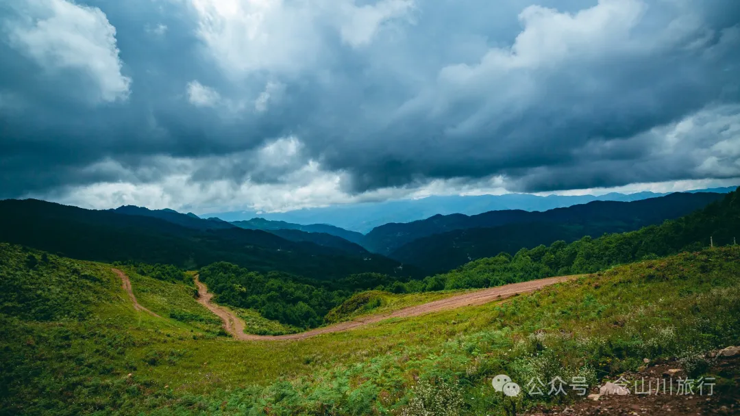 大理南涧无量太平山高山草甸：春天不肯离开，秋天不忍到来的地方 - 第5张