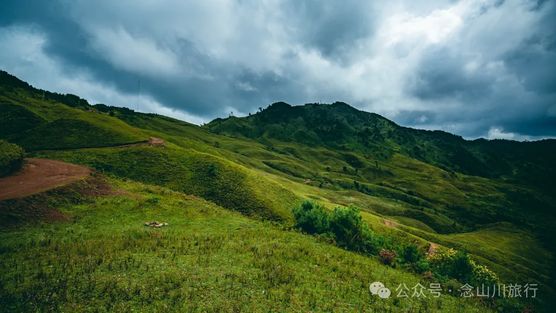 大理南涧无量太平山高山草甸：春天不肯离开，秋天不忍到来的地方 - 第6张