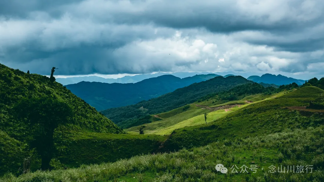 大理南涧无量太平山高山草甸：春天不肯离开，秋天不忍到来的地方 - 第7张