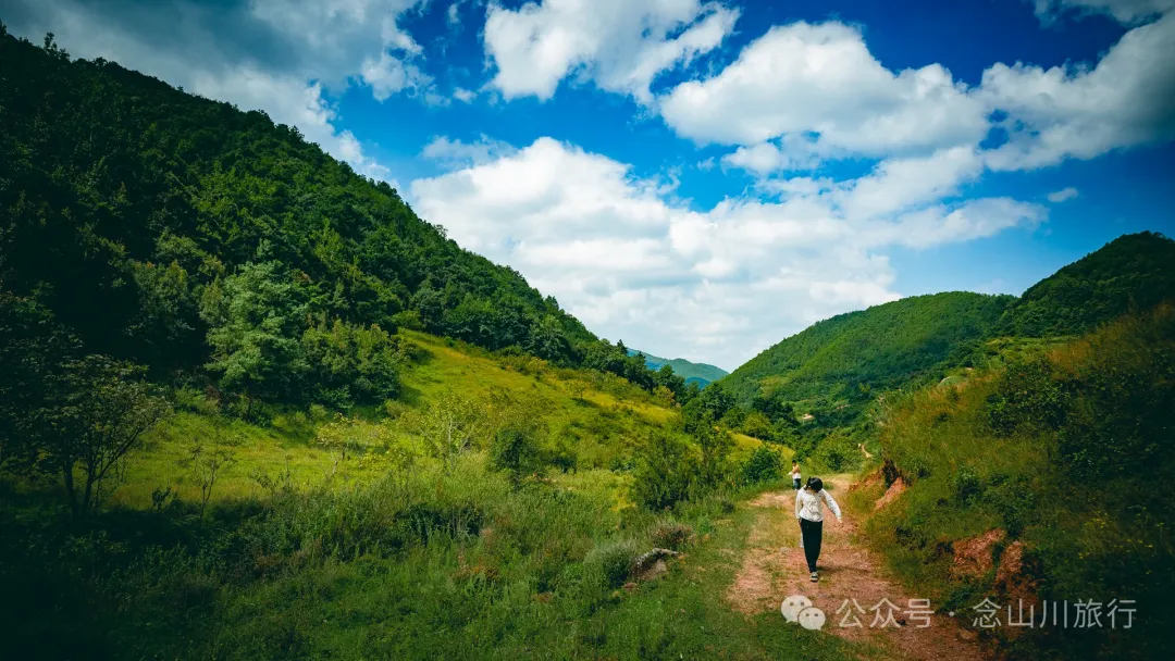 Accompanied by Cattle and Sheep: A Peaceful Hike in Tizipo Village, Weishan, Dali - Image 10