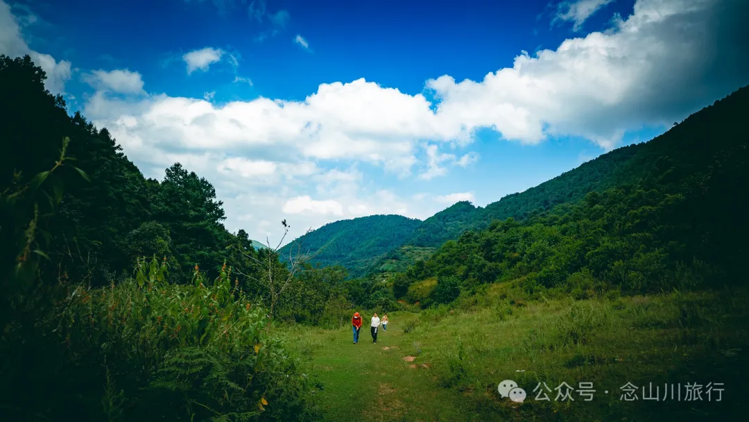 Accompanied by Cattle and Sheep: A Peaceful Hike in Tizipo Village, Weishan, Dali - Image 11
