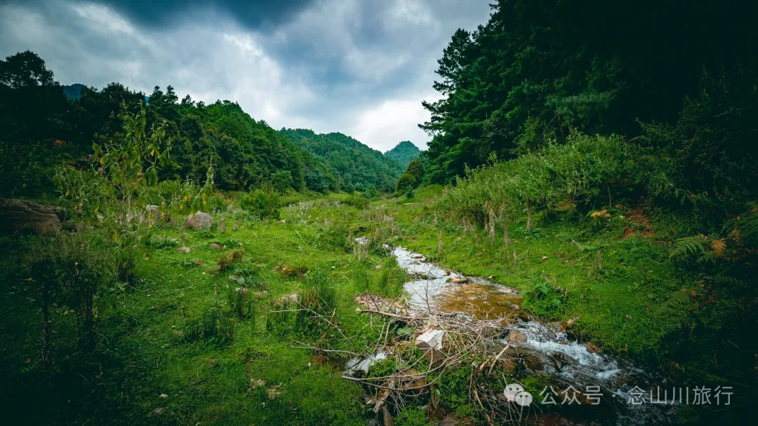 Accompanied by Cattle and Sheep: A Peaceful Hike in Tizipo Village, Weishan, Dali - Image 12