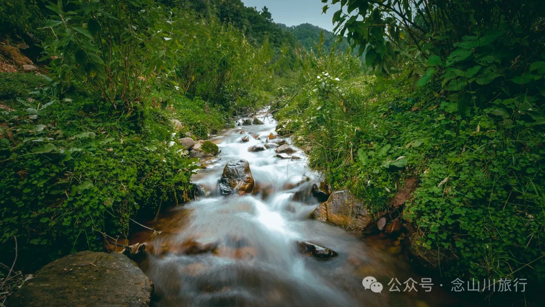 Accompanied by Cattle and Sheep: A Peaceful Hike in Tizipo Village, Weishan, Dali - Image 14