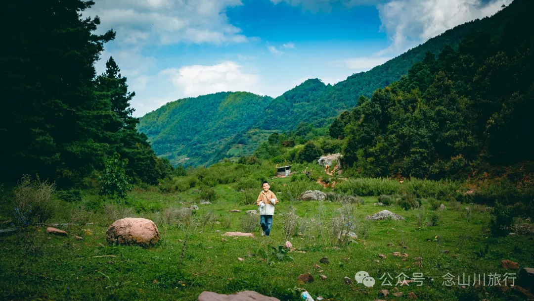 Accompanied by Cattle and Sheep: A Peaceful Hike in Tizipo Village, Weishan, Dali - Image 16