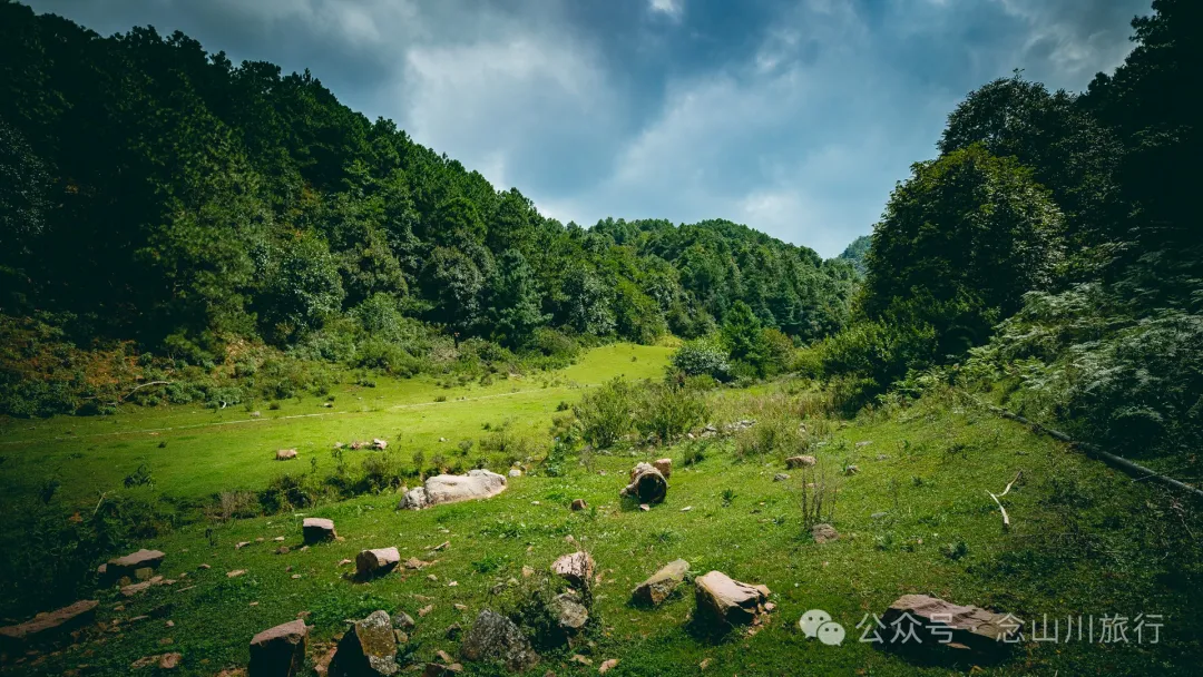 Accompanied by Cattle and Sheep: A Peaceful Hike in Tizipo Village, Weishan, Dali - Image 17