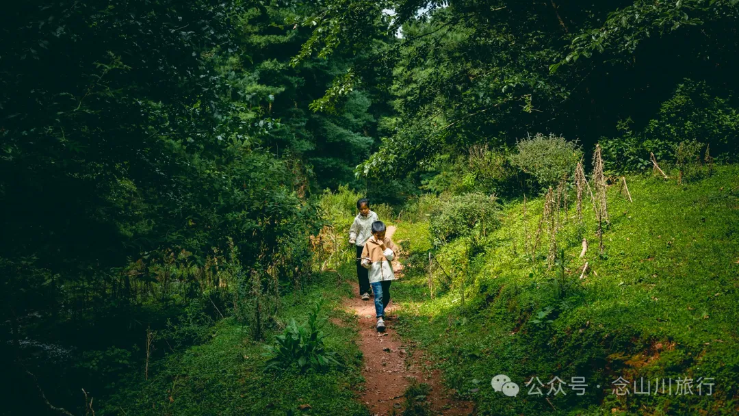 Accompanied by Cattle and Sheep: A Peaceful Hike in Tizipo Village, Weishan, Dali - Image 18