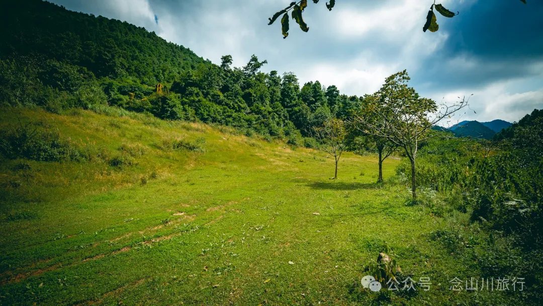 Accompanied by Cattle and Sheep: A Peaceful Hike in Tizipo Village, Weishan, Dali - Image 2