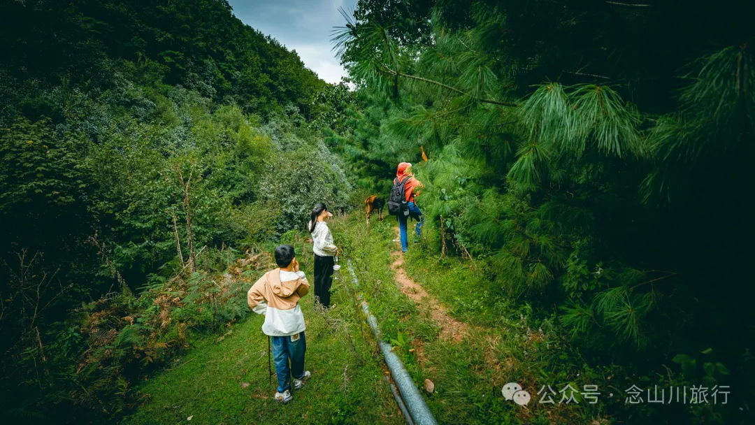 Accompanied by Cattle and Sheep: A Peaceful Hike in Tizipo Village, Weishan, Dali - Image 21